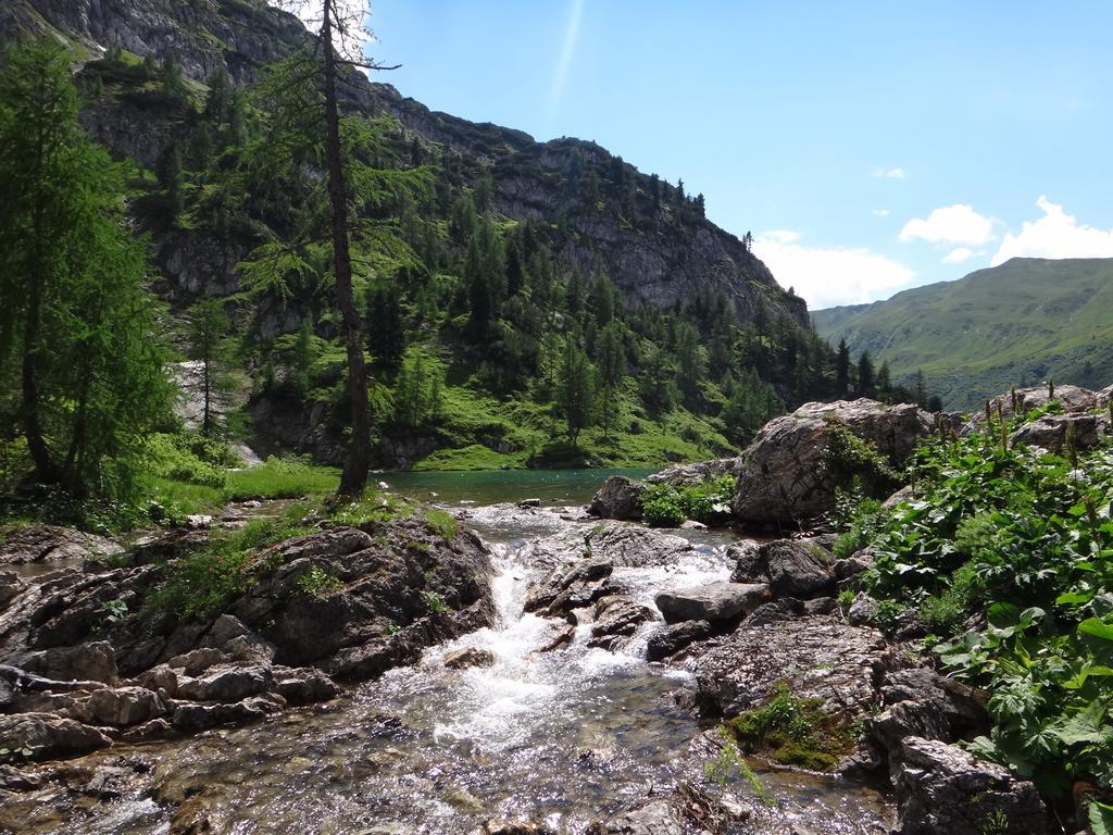 Ausserraingut Flachau Buitenkant foto