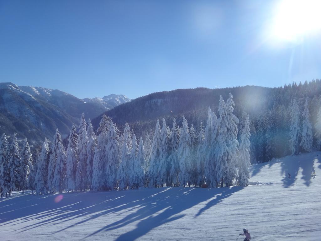 Ausserraingut Flachau Buitenkant foto